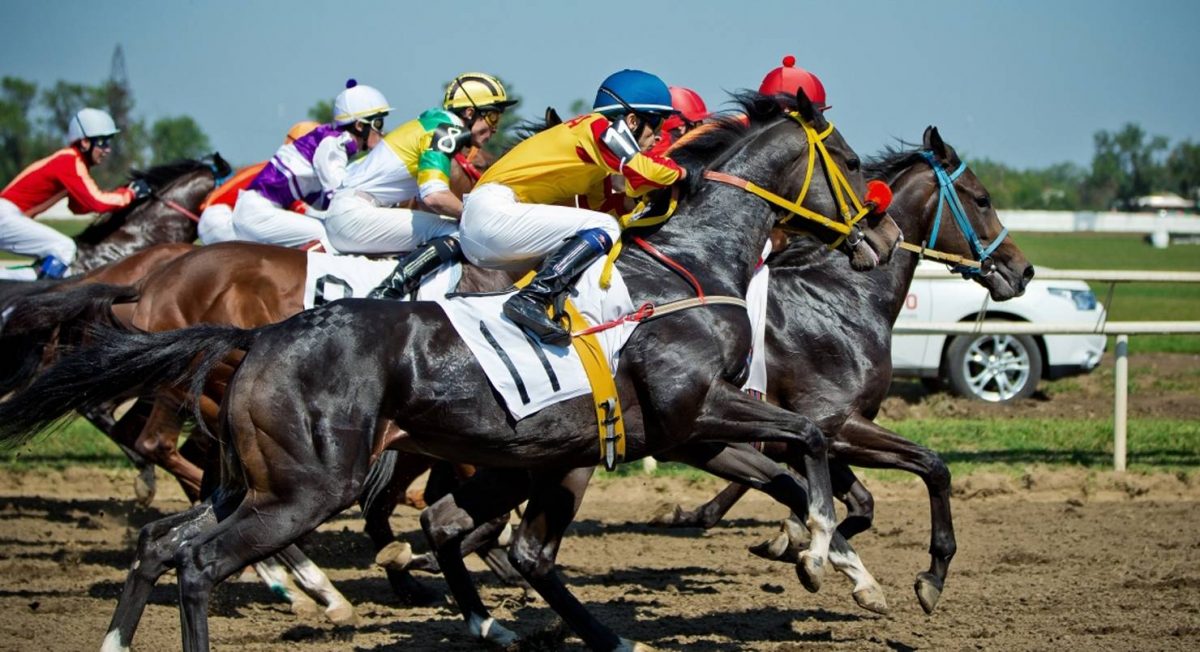 Types of horse racing betting strategies